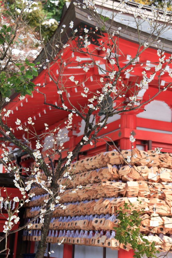 荏柄天神社の画像 - 6枚目