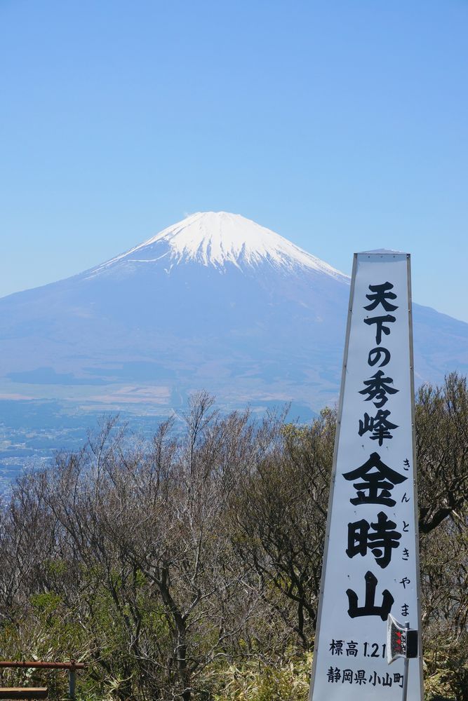 金時山の画像 - 5枚目