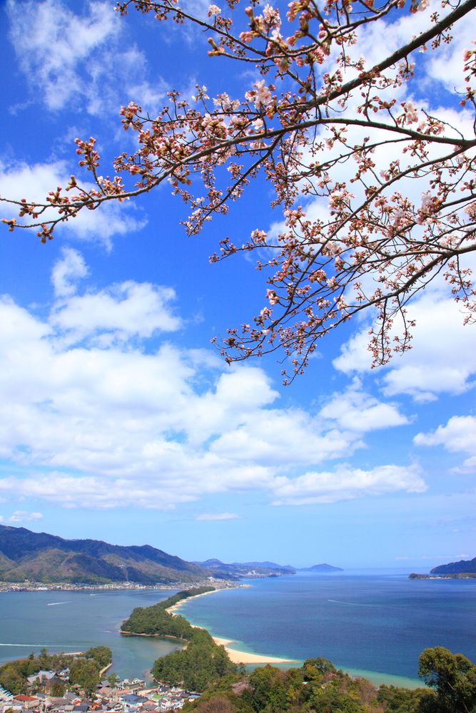 天橋立】の周辺スポット・アクセス・口コミ - Prism Japan