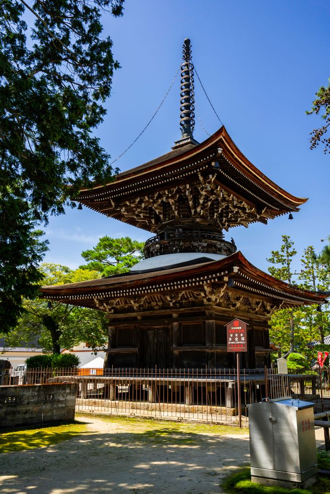 天橋立の画像 - 4枚目