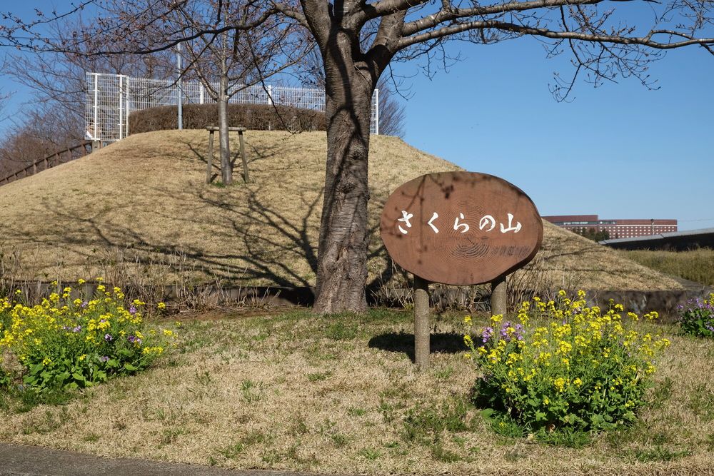 成田市さくらの山公園】の周辺スポット・アクセス・口コミ - Prism Japan