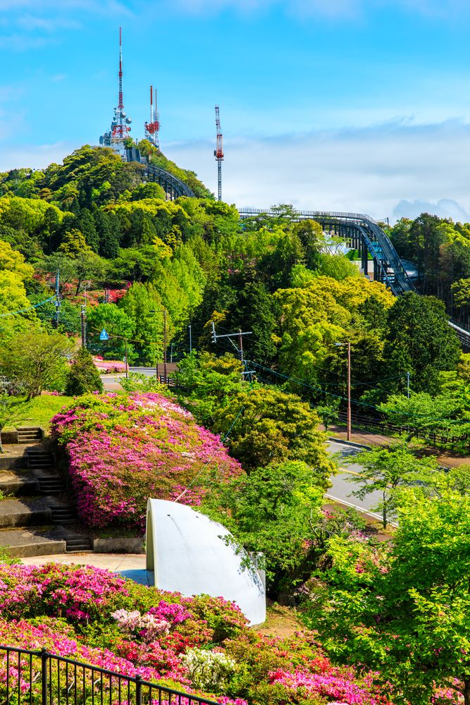 稲佐山公園の画像 - 2枚目