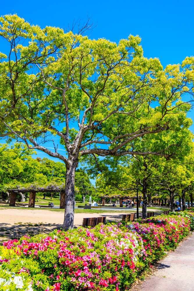 稲佐山公園の画像 - 5枚目