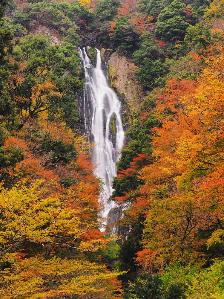 神庭の滝の画像 - 2枚目