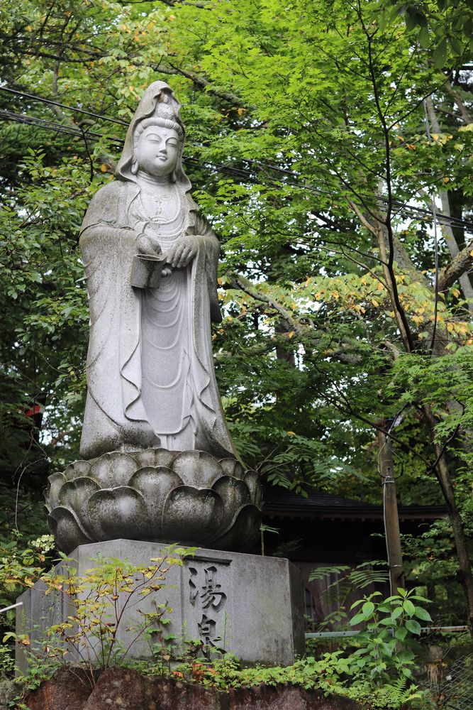 光泉寺の画像 - 7枚目