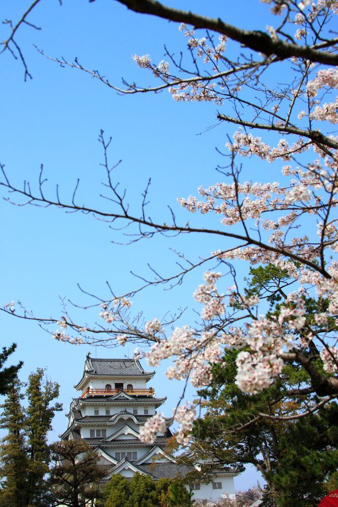 福山城公園の画像 - 2枚目