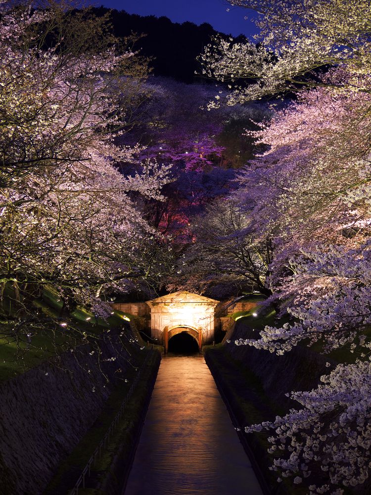 琵琶湖疏水の画像 - 4枚目