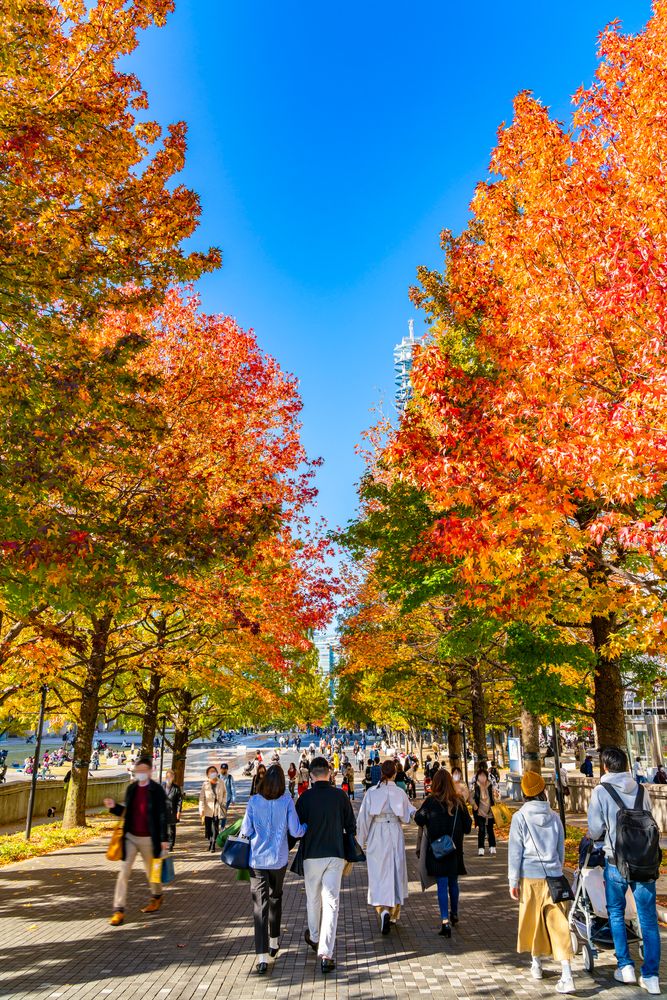 グランモール公園の画像 - 2枚目