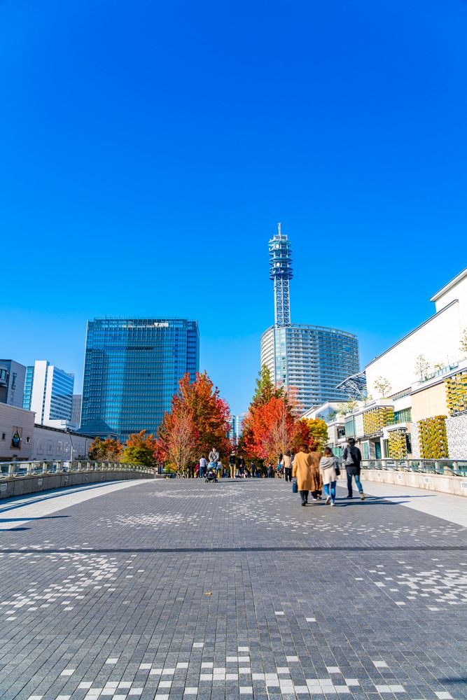 グランモール公園の画像 - 3枚目