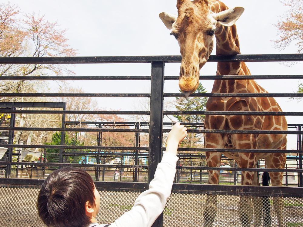 宇都宮動物園の画像 - 2枚目