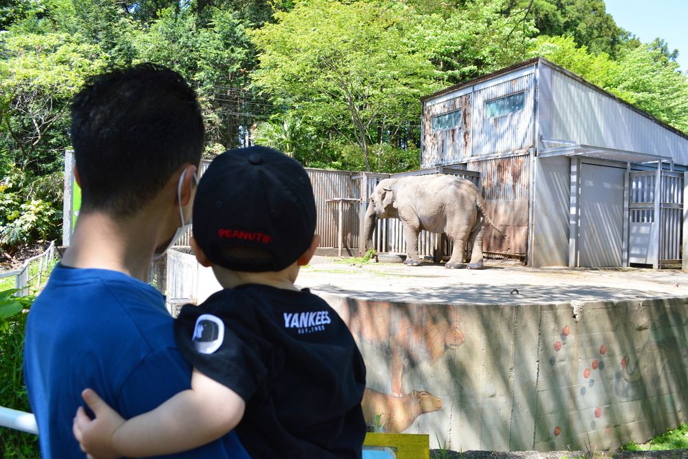 宇都宮動物園の画像 - 5枚目