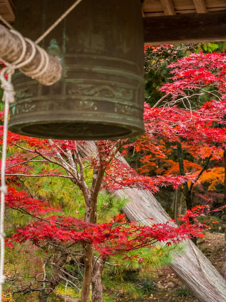 白毫寺の画像 - 2枚目