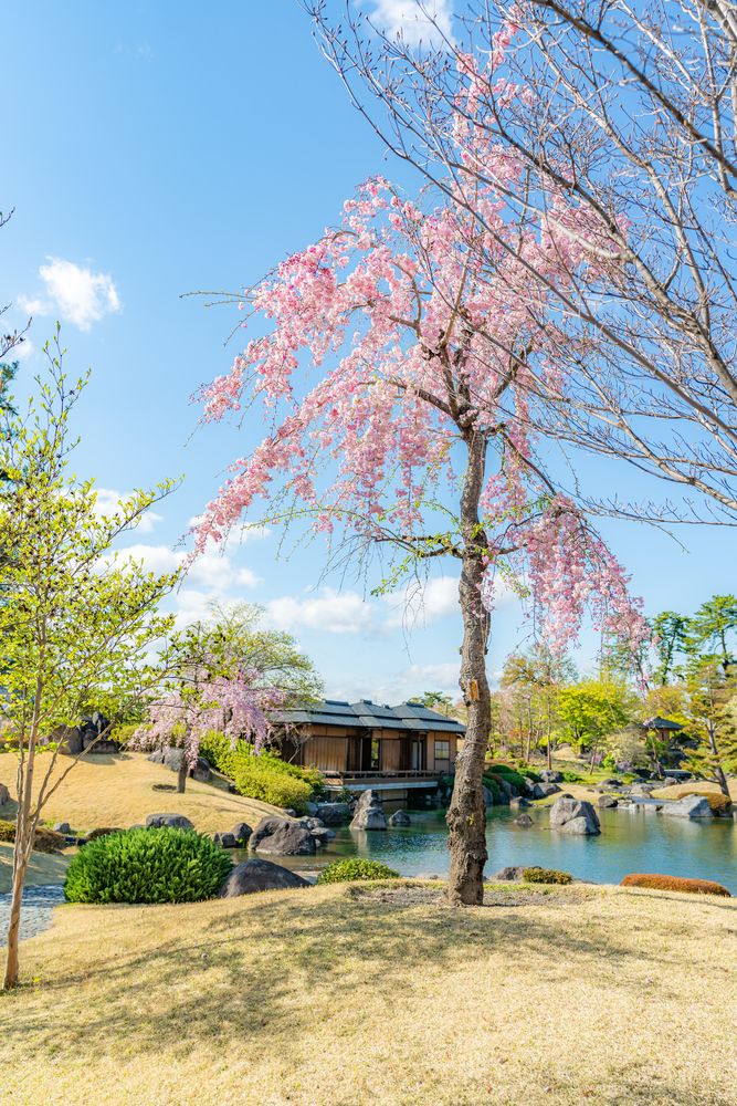 臨江閣の画像 - 5枚目