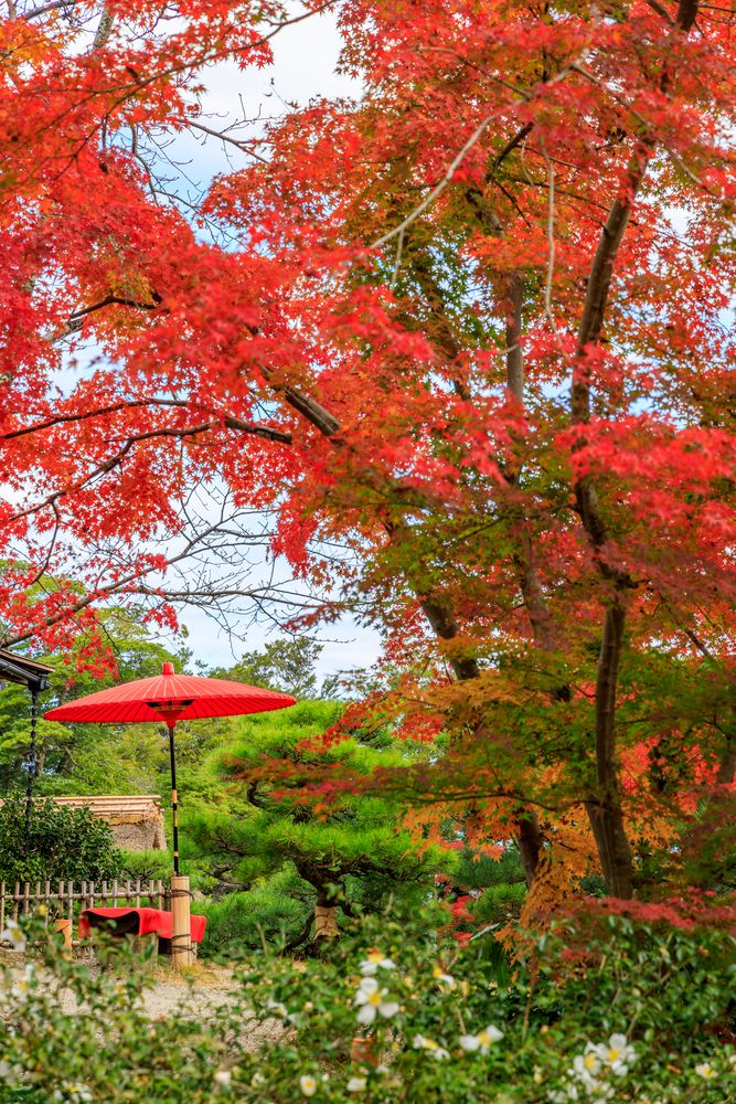 彦根城の画像 - 2枚目