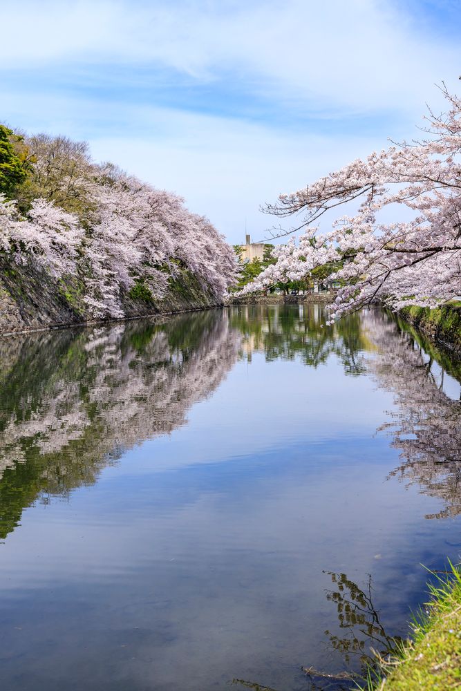彦根城の画像 - 3枚目
