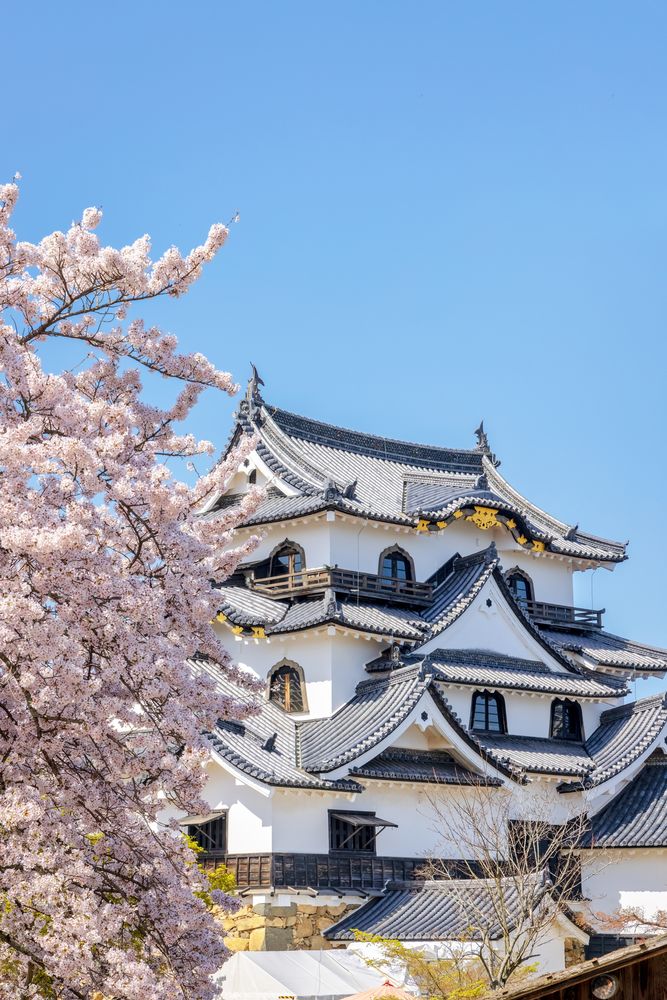 彦根城の画像 - 4枚目