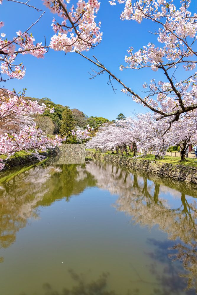 彦根城の画像 - 5枚目