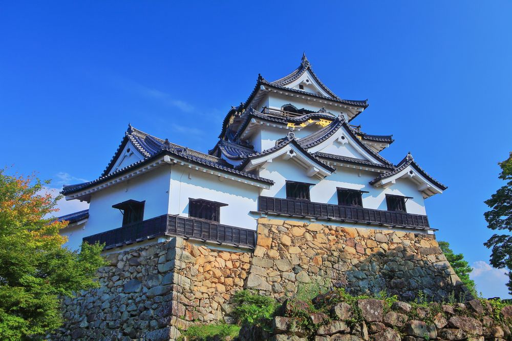 彦根城の画像 - 8枚目