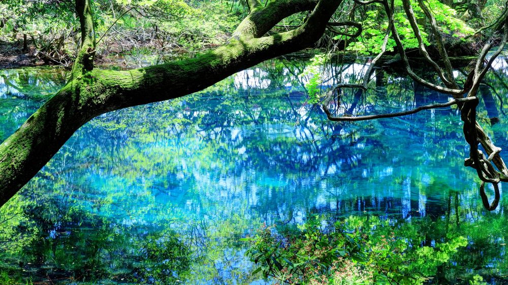 丸池様の画像 - 5枚目