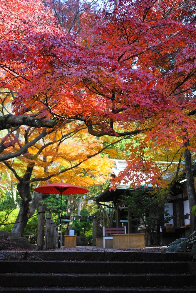 鎌倉宮の画像 - 3枚目