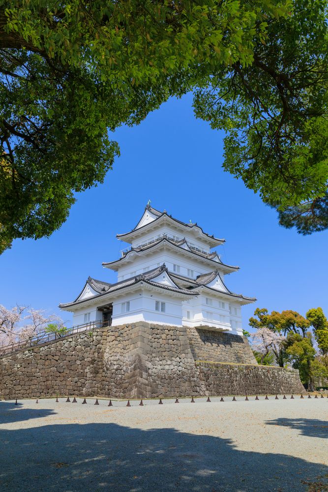 小田原城の画像 - 3枚目