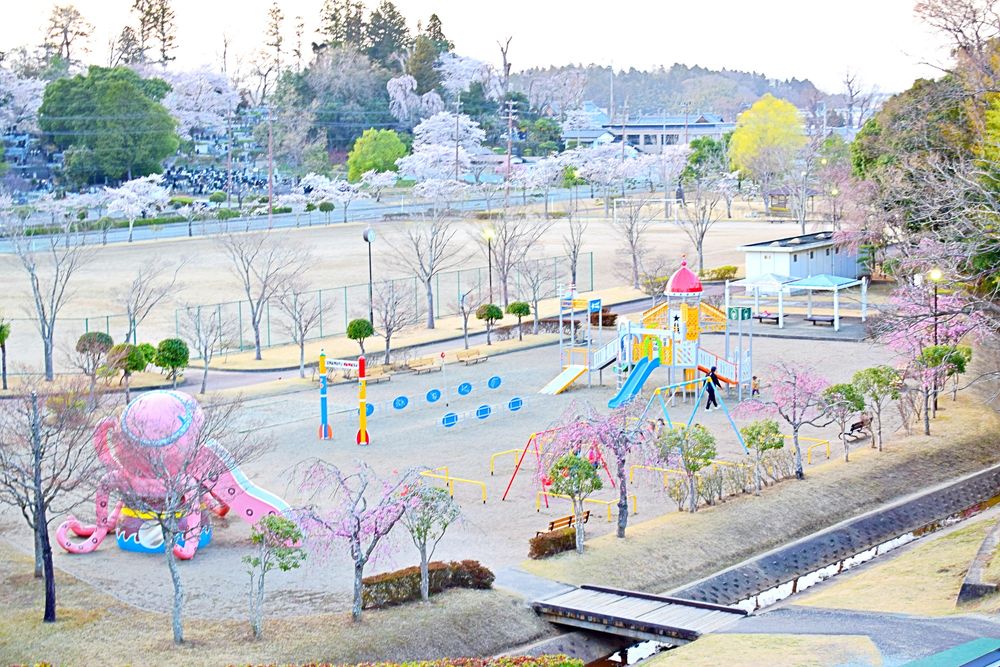 台山公園の画像 - 2枚目