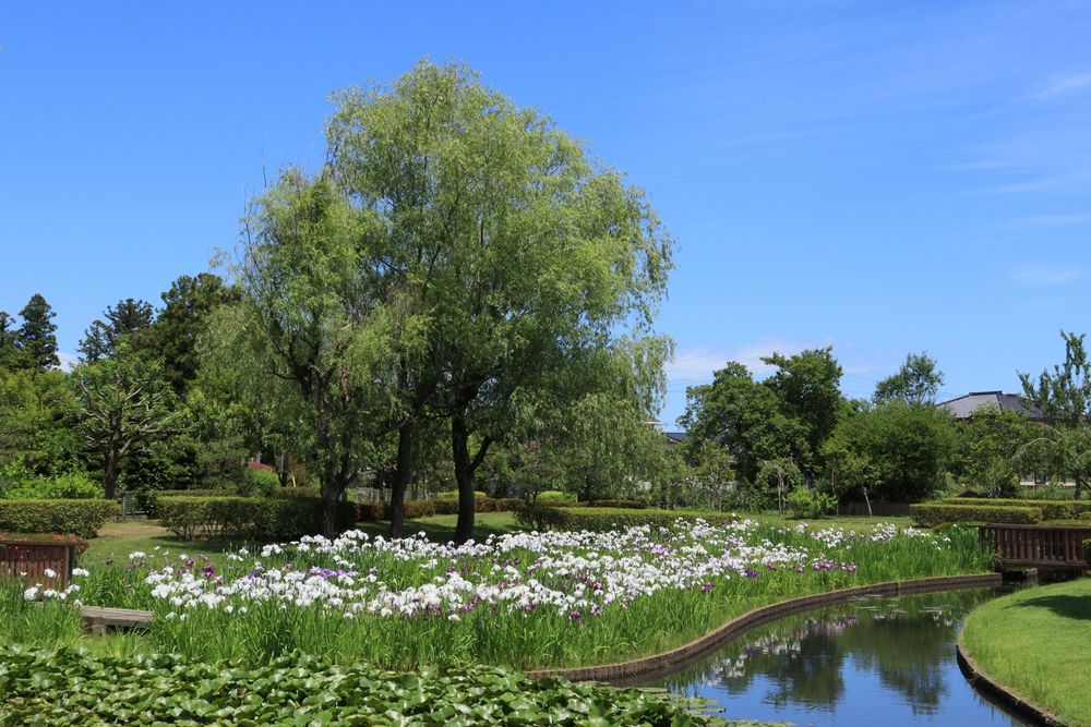 台山公園の画像 - 3枚目