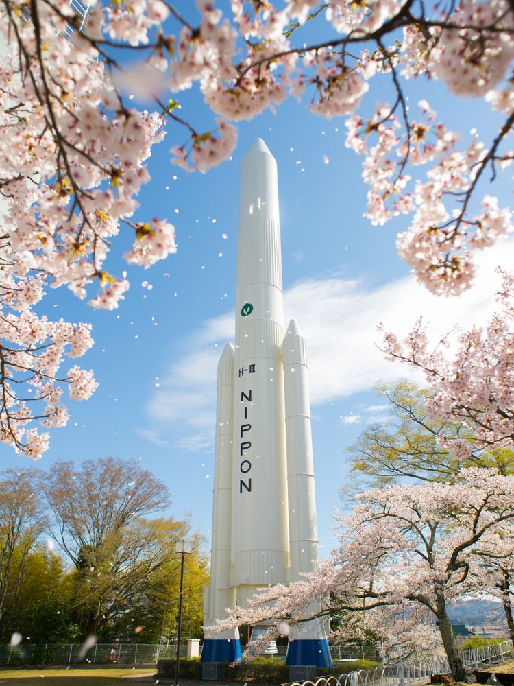 台山公園の画像 - 4枚目