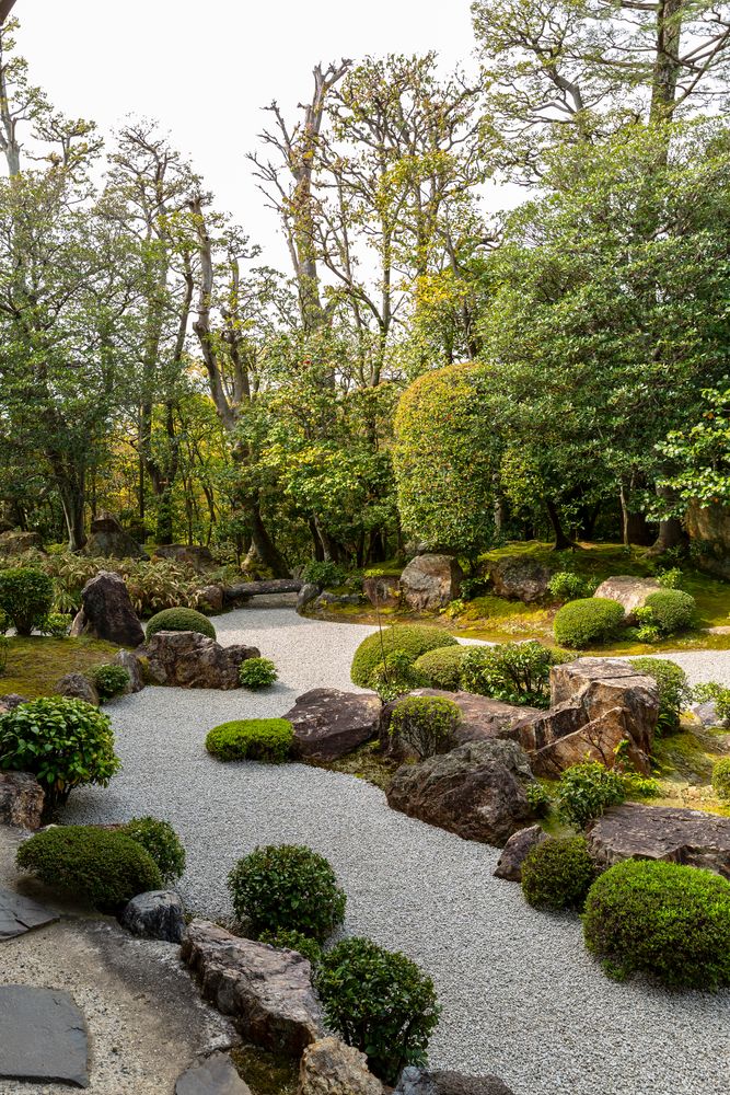 退蔵院の画像 - 3枚目