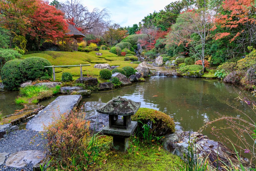 退蔵院