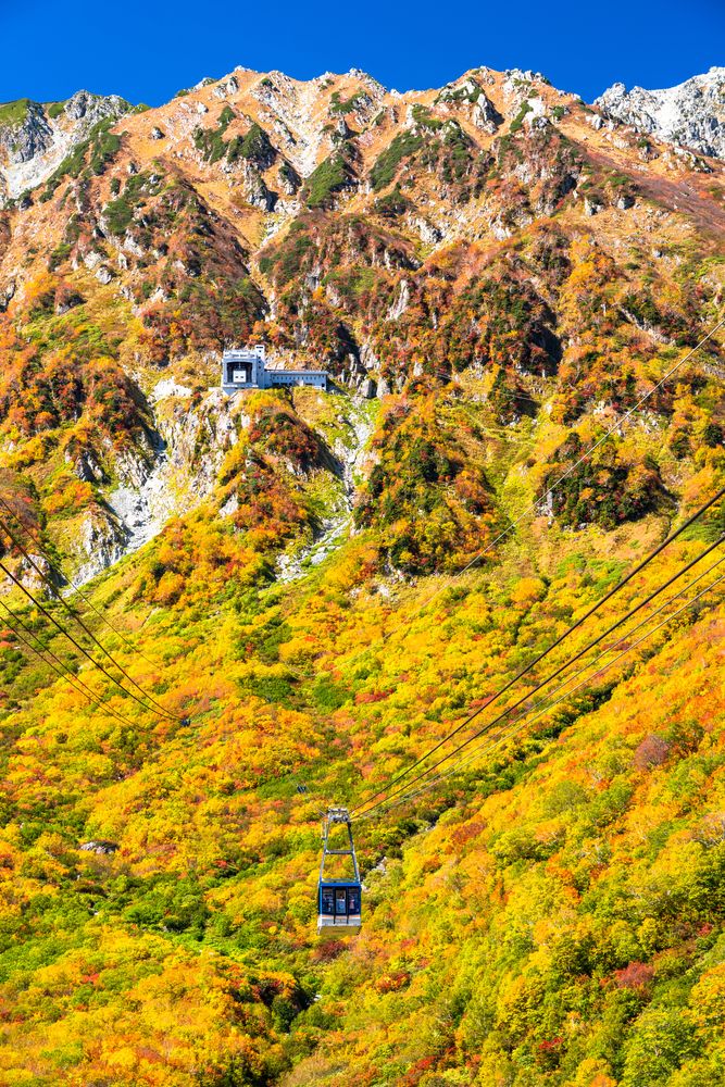立山ロープウェイの画像 - 2枚目