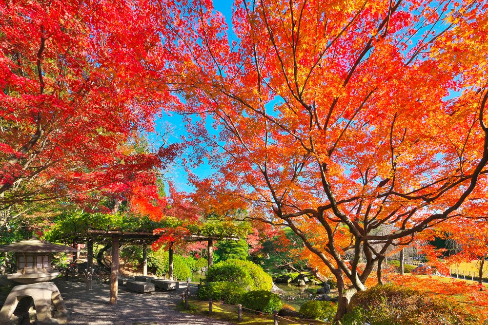 城南宮の画像 - 2枚目