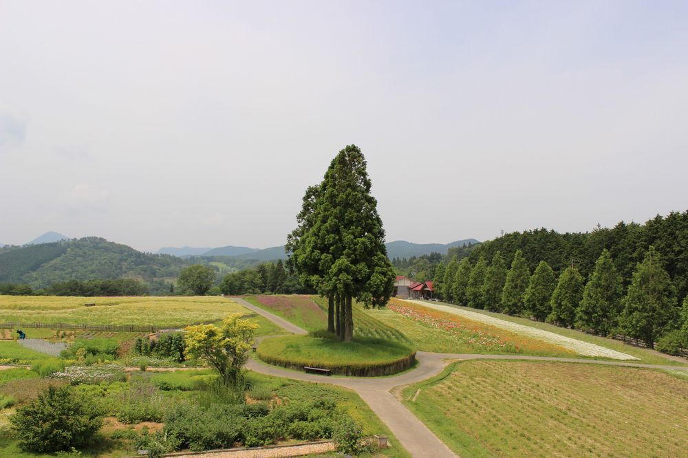 メナード青山リゾートの画像 - 2枚目