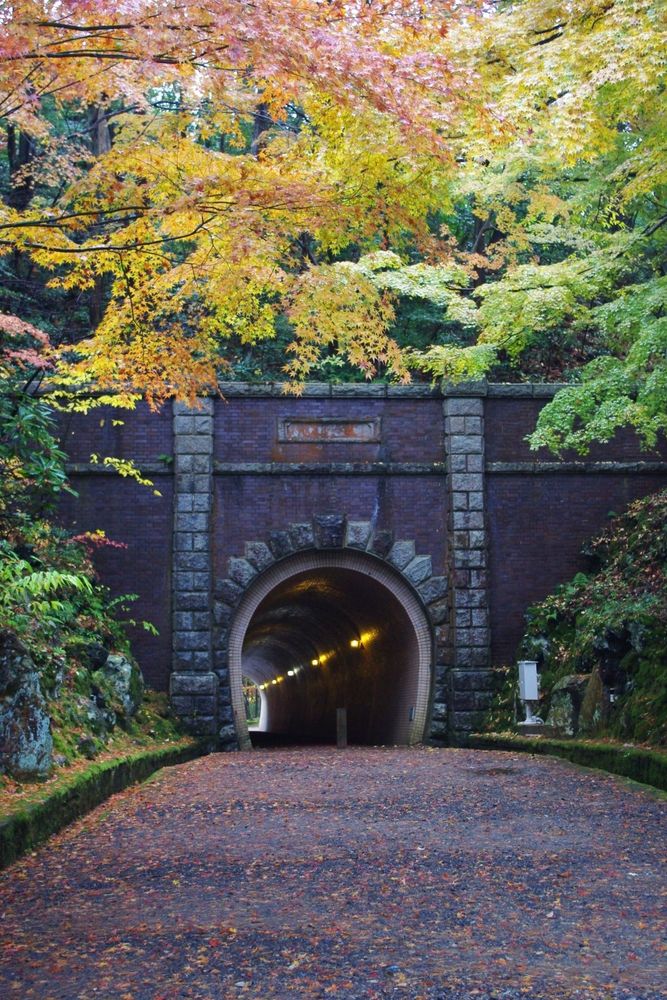 弥彦公園