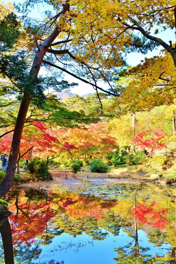 弥彦公園の画像 - 2枚目