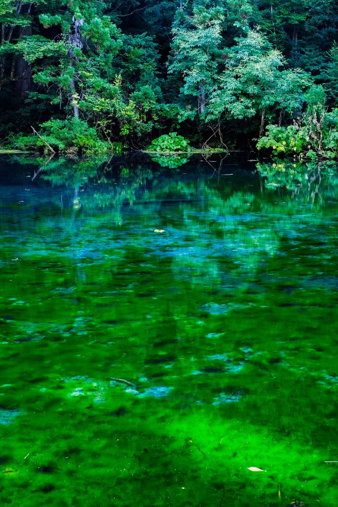 津南ひまわり広場】の周辺スポット・アクセス・口コミ - Prism Japan