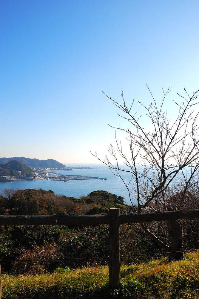 披露山公園の画像 - 3枚目