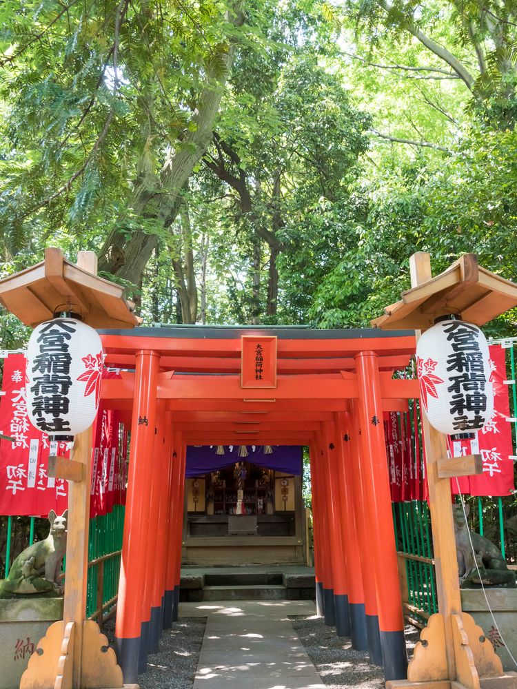 大宮八幡宮の画像 - 4枚目