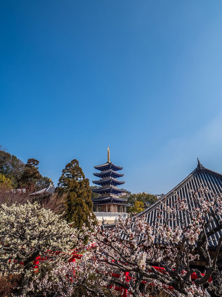 中山寺の画像 - 3枚目