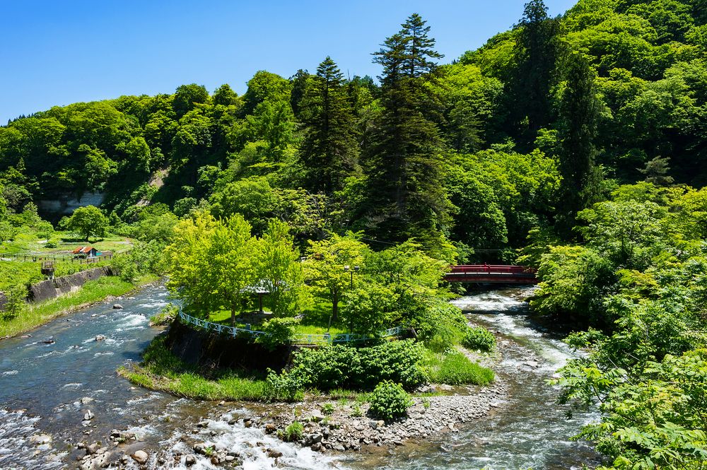 中野もみじ山の画像 - 2枚目