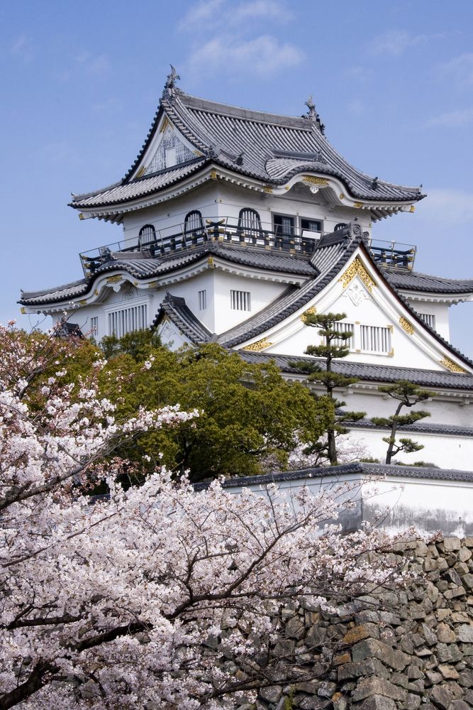 岸和田城の画像 - 2枚目