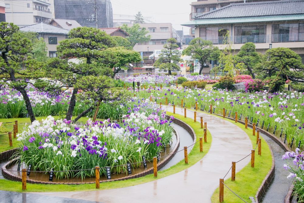 堀切菖蒲園の画像 - 3枚目