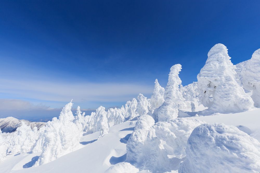 蔵王の樹氷の画像 - 2枚目