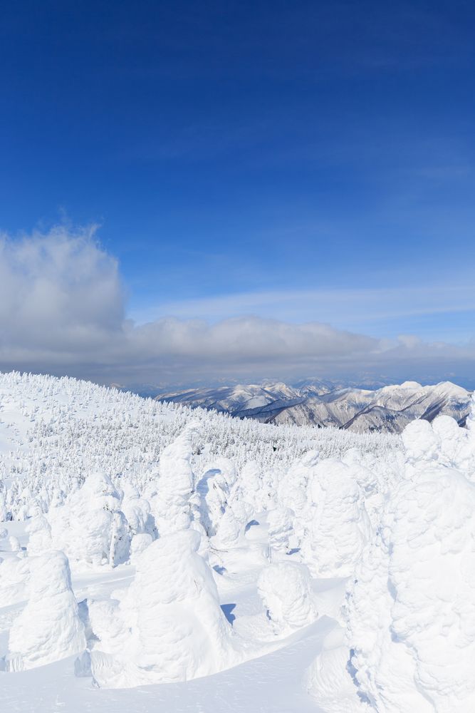 蔵王の樹氷の画像 - 5枚目