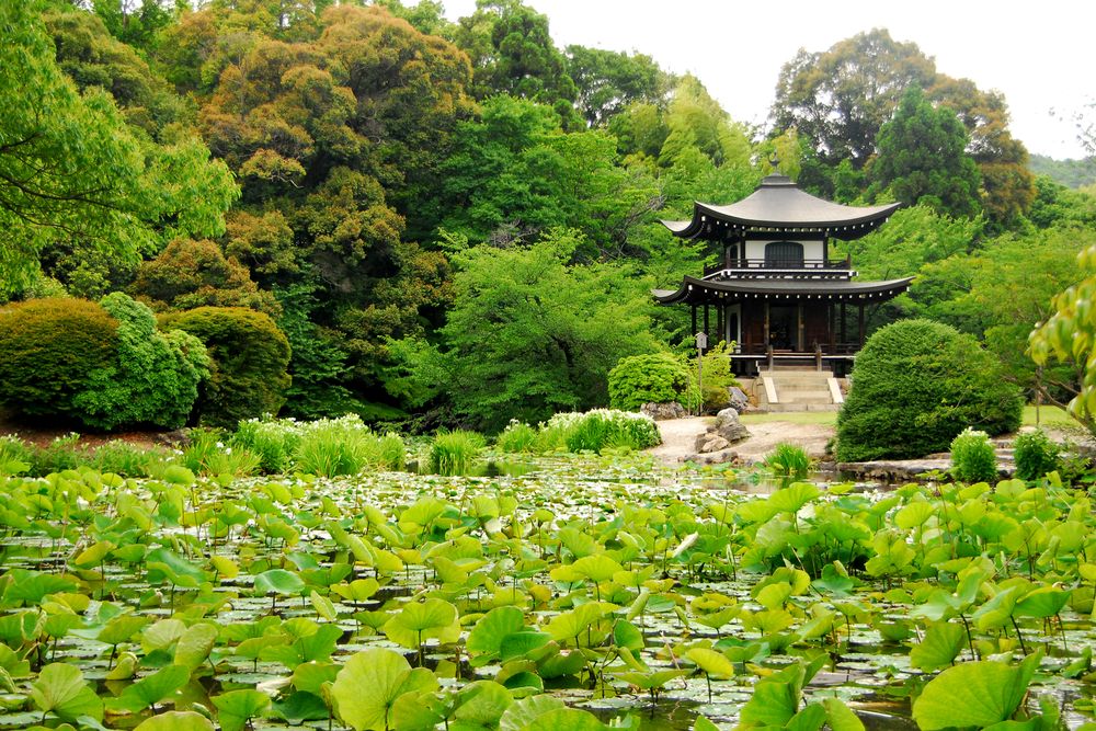 勧修寺