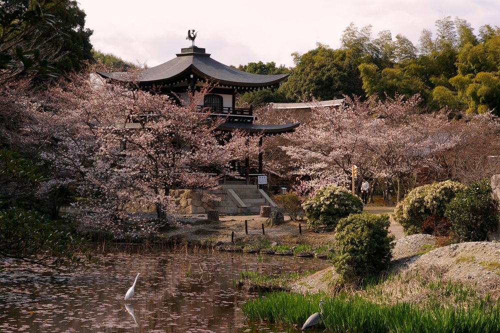 勧修寺の画像 - 2枚目