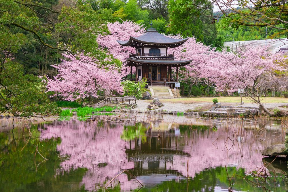 勧修寺の画像 - 4枚目