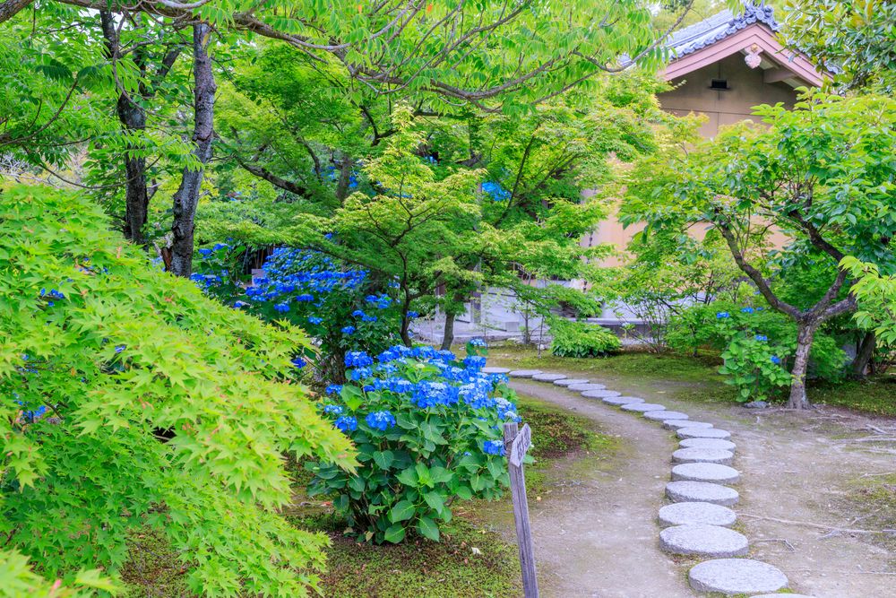 勧修寺の画像 - 5枚目
