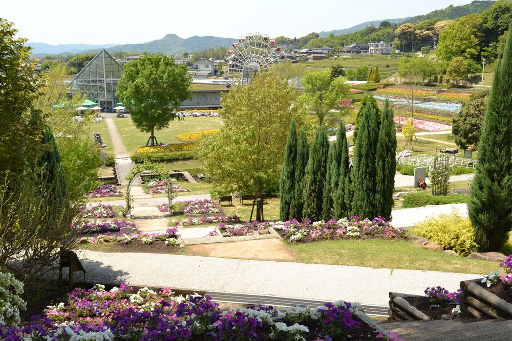 やまぐちフラワーランドの画像 - 2枚目