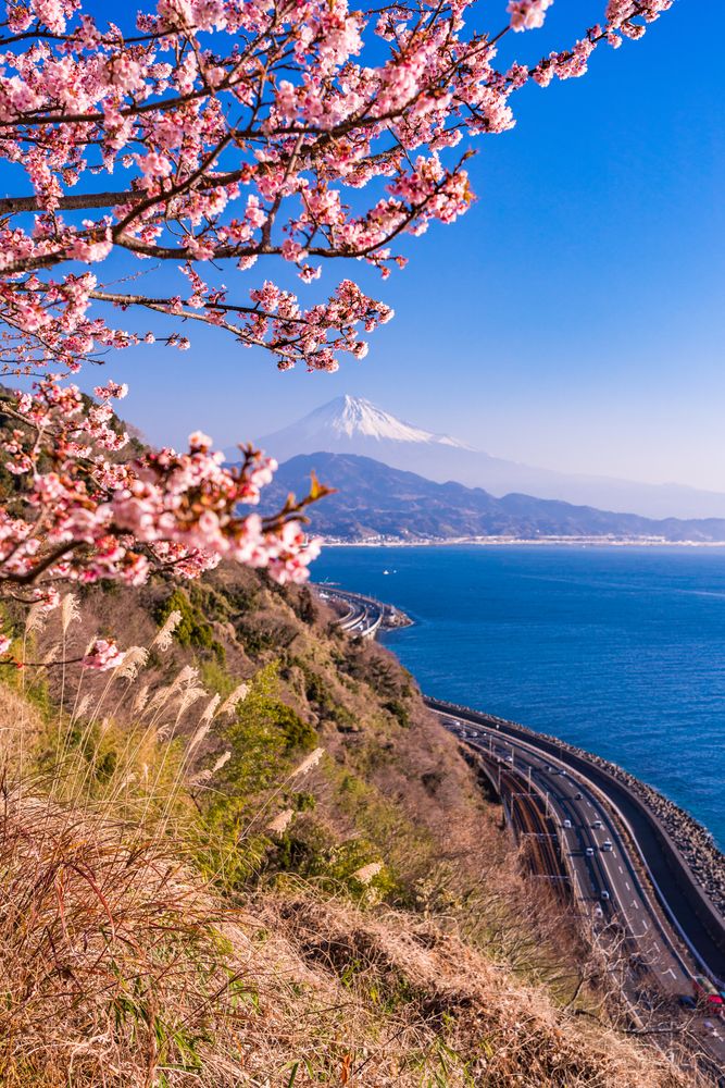 薩埵峠の画像 - 4枚目